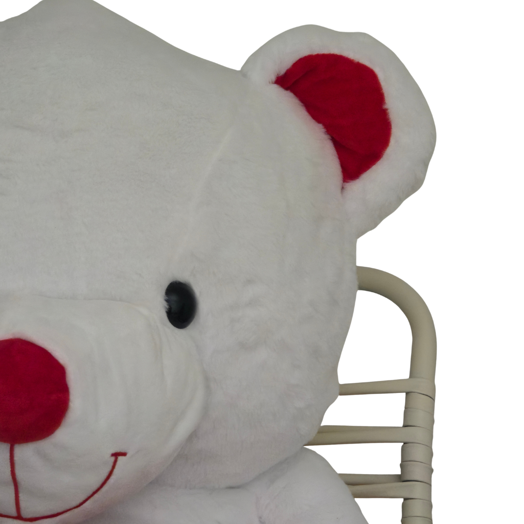 Didelis pliušinis meškinas | 120 cm | Valentino dienos